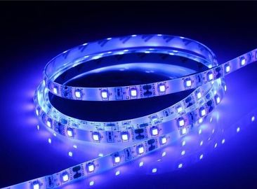 Il colore caldo di bianco 5M che cambia 12volt ha condotto la striscia con protezione adesiva, potere di 14.4W/M