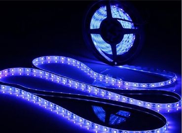 Il colore caldo di bianco 5M che cambia 12volt ha condotto la striscia con protezione adesiva, potere di 14.4W/M