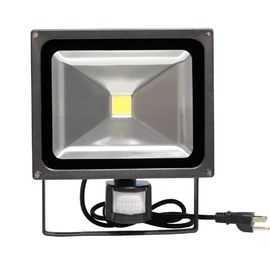 10 watt 700lm raffreddano le luci di inondazione principali bianche/luci di inondazione principali esterno di ottimo rendimento